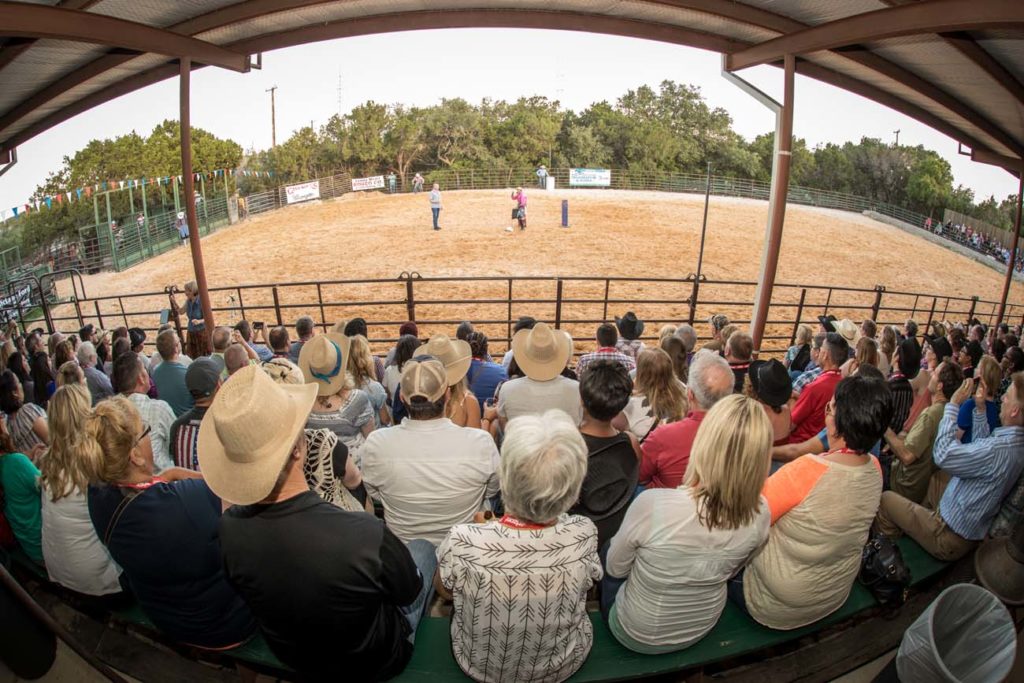group of people watching rodeo