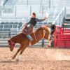 Rodeos in Texas